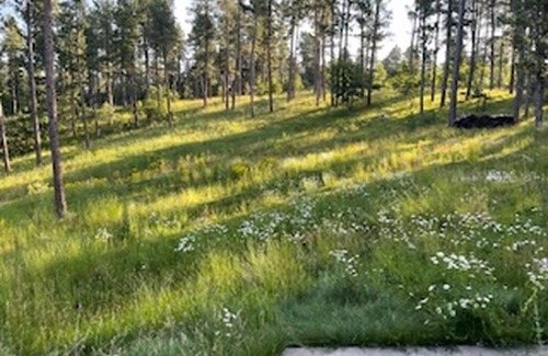 Spearfish Casa | 34 miles from Sturgis, this oasis escape in the middle of the wood.