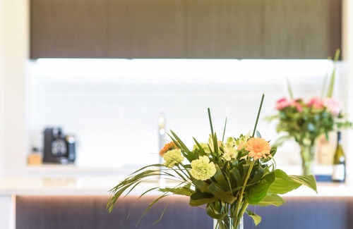 Richmond Casa | 39 Carmine Five Star 4-bedroom Holiday Home in Nelson/Tasman