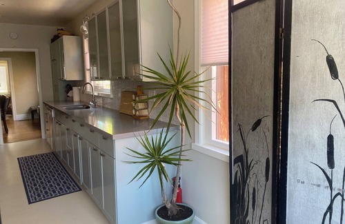 East End Casa | 3bd Cozy Sunfilled House with Deck Patio Garden - Alameda Oakland Airport