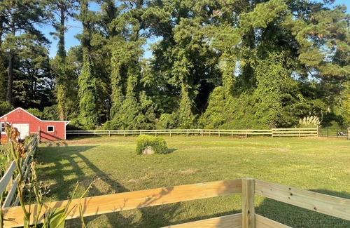 Wanchese Casa | 3bedroom house in Wanchese OBX. Animal Friendly, Only a short ride to the beach.