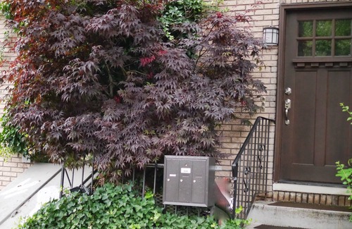 Crown Heights Apartamento | 🏡 3BR City-Oasis en Prospect Heights, Brooklyn