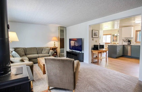 Leadville North Cabina | 3BR Cozy Cabin - Tranquil Forest - Pet Friendly