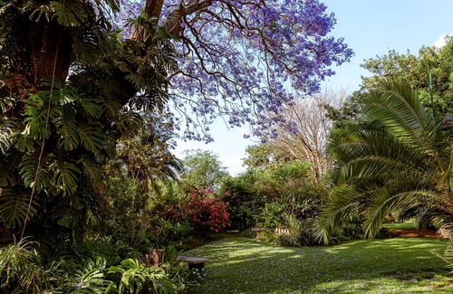 Harare Casa | 3BR Vacation Home Amidst Lush Garden. Perfect for family.