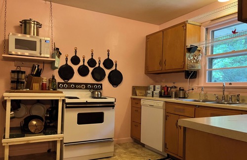 Williamsport Casa | 4 bed 2 bath Mid century modern in Vallamont, 10 mins from Lamade Stadium.
