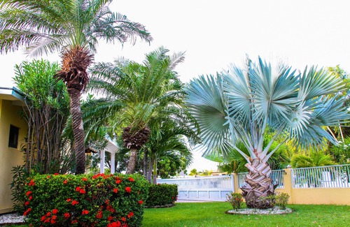 Koyari Casa | 4 Bed 2 Bath Tropical Aruba Villa Oasis cerca de todo!