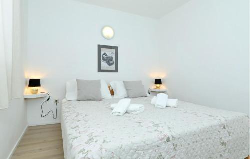 Dobropoljana Casa | 4 Bedroom Amazing Home In Banj