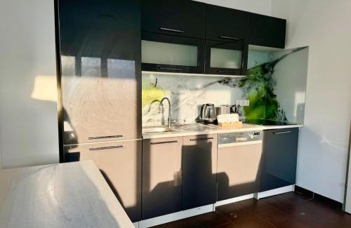 Liesing Apartamento | 4 Bedroom Apartment with Balcony, AC & Free Parking