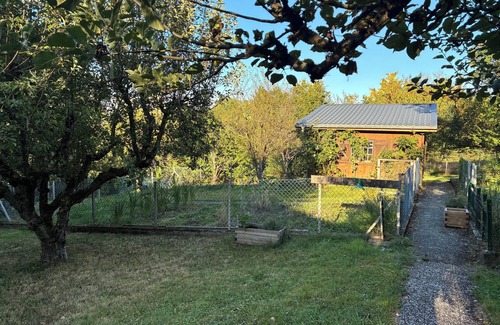 Sarreguemines Casa | 4-bedroom eco-renovated house in a natural setting - dogs welcome
