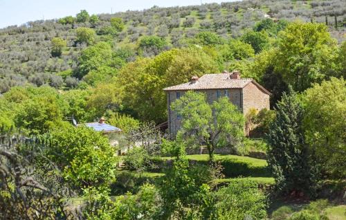 Paciano Apartamento | 4 Bedroom Lovely Apartment In Paciano