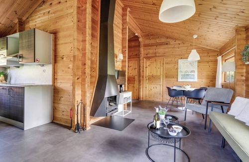 Gramsbergen Casa | 4-person bungalow with private sauna, veranda, dishwasher and washing machine at park ’t Hooge Holt near Gramsbergen and nature.
