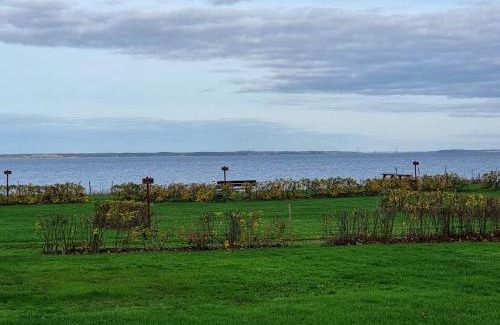 Hejlsminde Strand Casa | 4 person holiday home in Hejls-By Traum