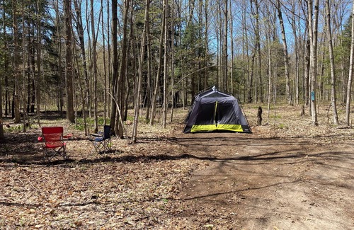 Benzonia Alquiler De RV | Private Wooded Campsite for Tents or Small RV's #4