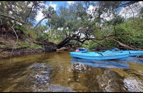 Arcadia Casa | 40' park model on the creek