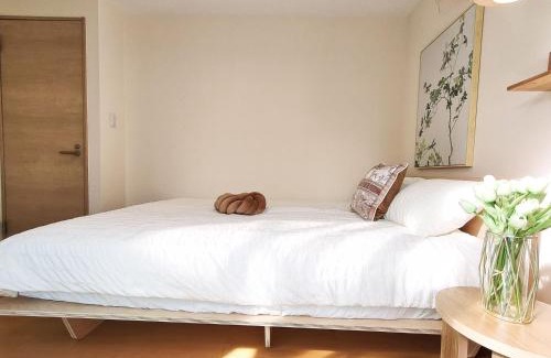 Ikebukuro Apartamento | 41池袋最中心 两室一厅 池袋站10分 2 rooms Ikebukuro center 10 mins to ST Max 5P 直达新宿 涉谷 表参道 池袋 上野 代代木 银座 原宿