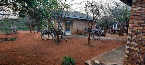Marloth Park Apartamento | 462 Bosbok Chalets