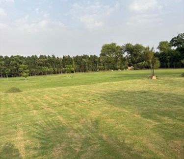 South West Casa | 4BHK Greenwood Farm And Lawn -Bijwasan I Delhi-Gurgaon Border I 87oo2o5865