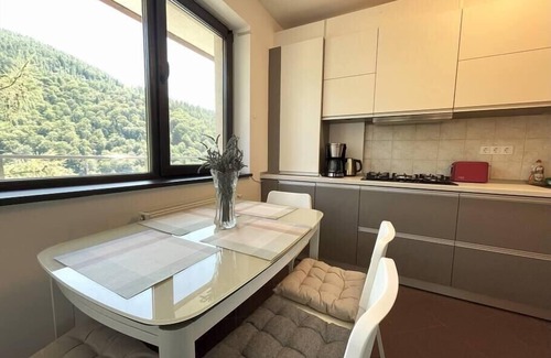 Sinaia Apartamento | 4Seasons Panorama Apartment