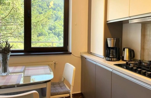 Sinaia Apartamento | 4Seasons Panorama Apartment