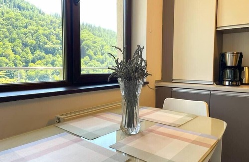 Sinaia Apartamento | 4Seasons Panorama Apartment