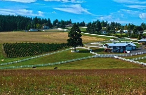Far West Casa | 5 Acre Country Estate 4 Bdrms Hermosas vistas, rodeado de viñedos y caballos