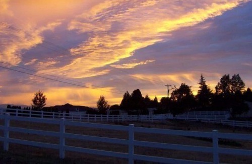 Far West Casa | 5 Acre Country Estate, Wifi, hermosas vistas, rodeado de viñedos y caballos