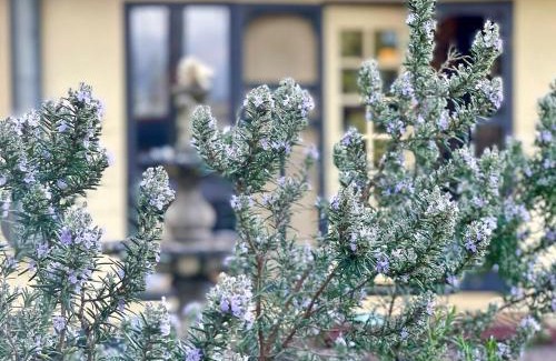 Croydon Casa | 5-Bed Secret Garden House