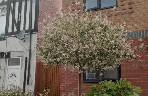 Yardley Casa | 5 Bedroom Spacious Home