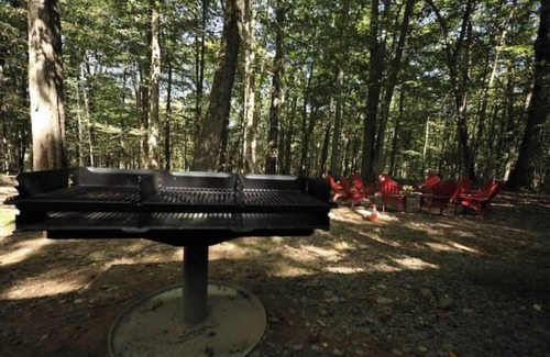 Locust Lake Village Cabina | 5BR, Speakeasy, Fire Pit, Pool Table, HotTtub
