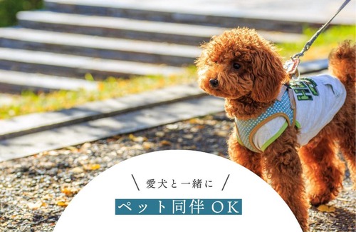 Ginowan Apartamento | 5LDK宜野湾ゆんたくHOUSE