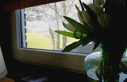 Municipality of Wormerland Casa | 6-10 pers family home in the country, 15km from Amsterdam
