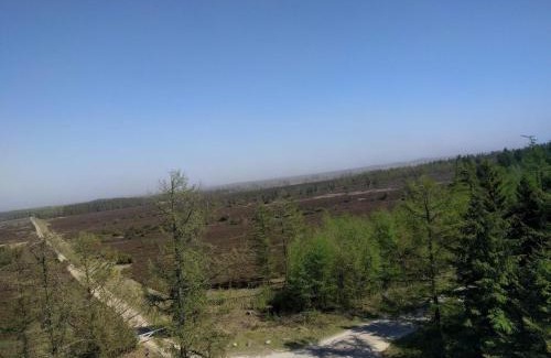 Hovborg Casa | 6 person holiday home in Hovborg