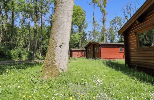 Kenwick Cabaña | 64 Acorn Lodge Kenwick Park