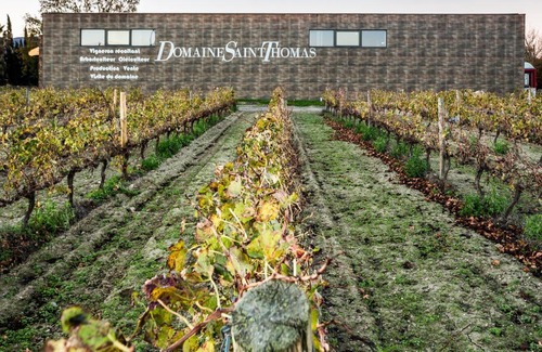 Argeles-sur-Mer Casa | Cottage Grenache - jacuzzi - au coeur du vignoble