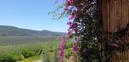 Wilderness Apartamento | 677 on Lake