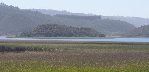 Wilderness Apartamento | 677 on Lake