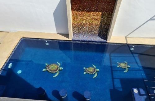 Cuautla Casa | 7 Gotas