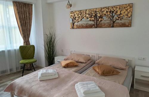 Miercurea-Ciuc Apartamento | 7 Levél Central Apartments