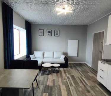 Jedlina-Zdroj Apartamento | 722 Slate Apartament Jedlina-Zdrój
