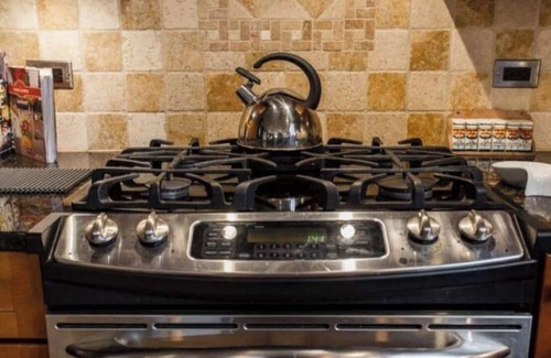 Wicker Park Casa | 8 beds. Wicker Park Spacious Guest House wi/Spa Bath, Fireplace, 1 Grg Spot.