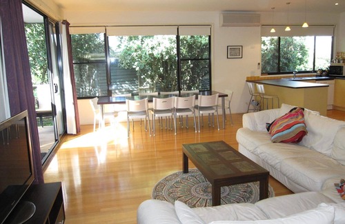 Silverleaves Casa | 8 hojas de plata de la madreselva Grove