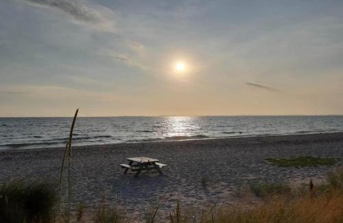 Hasmark Strand Casa | 8 person holiday home in Otterup-By Traum