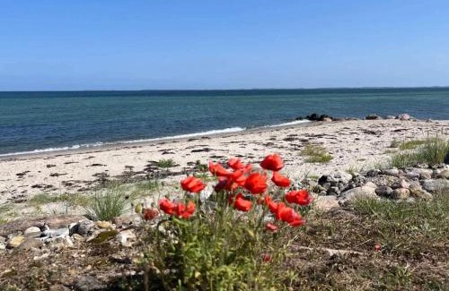 Hasmark Strand Casa | 8 person holiday home in Otterup-By Traum