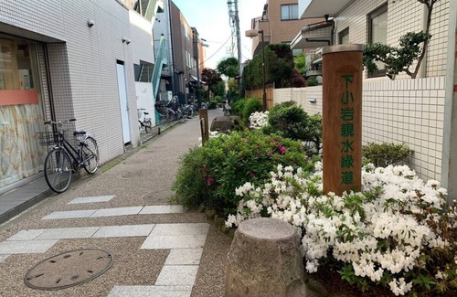 Minamikoiwa Casa | 9/122dk/