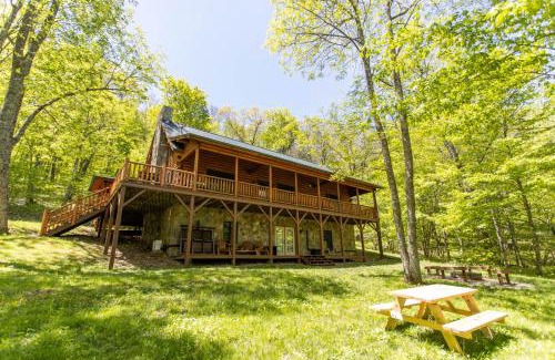 Boone Casa | A Beary Good Time