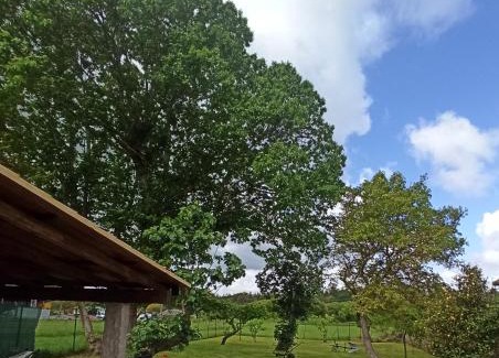 Zas Apartamento | A casa do campo
