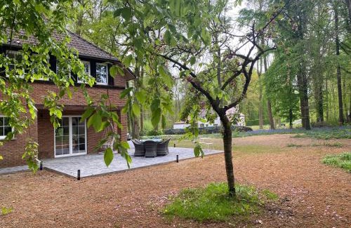 Enghien Casa | A Chardonnerets by La Maison de Mel