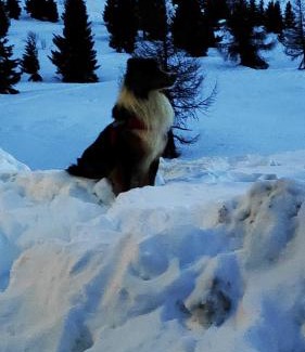 Passo del Tonale Apartamento | A due passi dal cielo