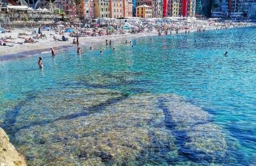 Sori Apartamento | A due passi dal Mare - Il Faro sul Mare