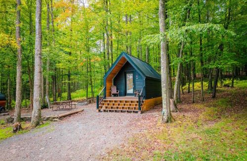Wellsboro Casa | A-frame 1