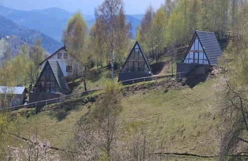 Bran Cabina | A-frame Muchia Scortii